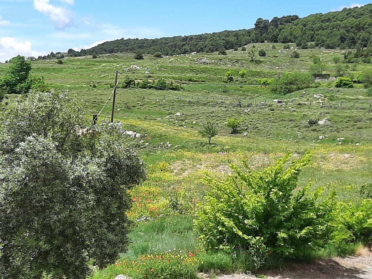 Casa Rural "Eccehomo De Borja" Exteriér fotografie