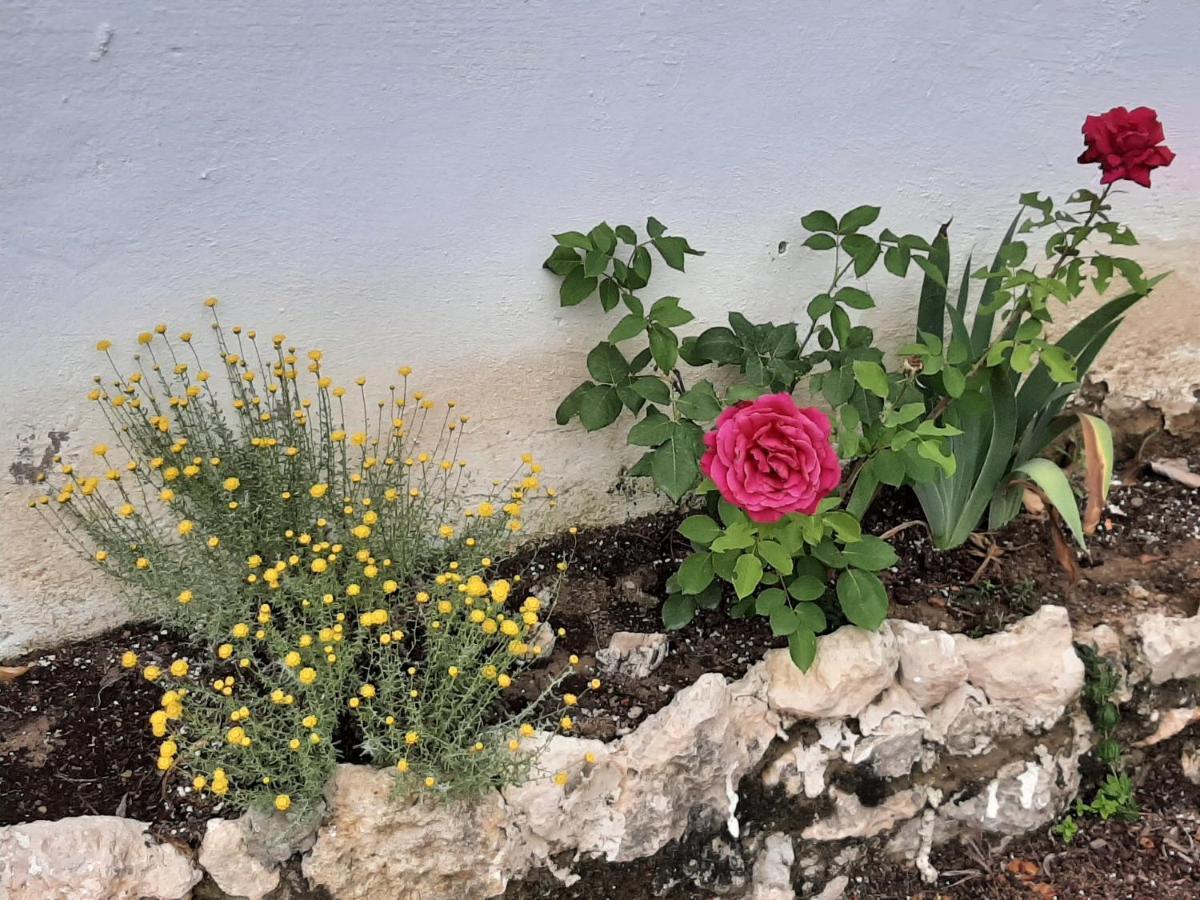 Casa Rural "Eccehomo De Borja" Exteriér fotografie