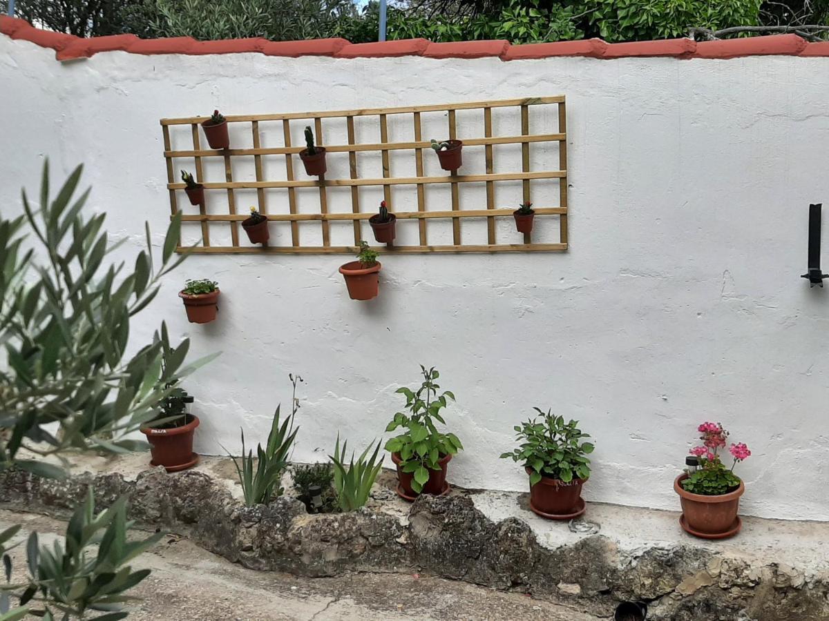 Casa Rural "Eccehomo De Borja" Exteriér fotografie