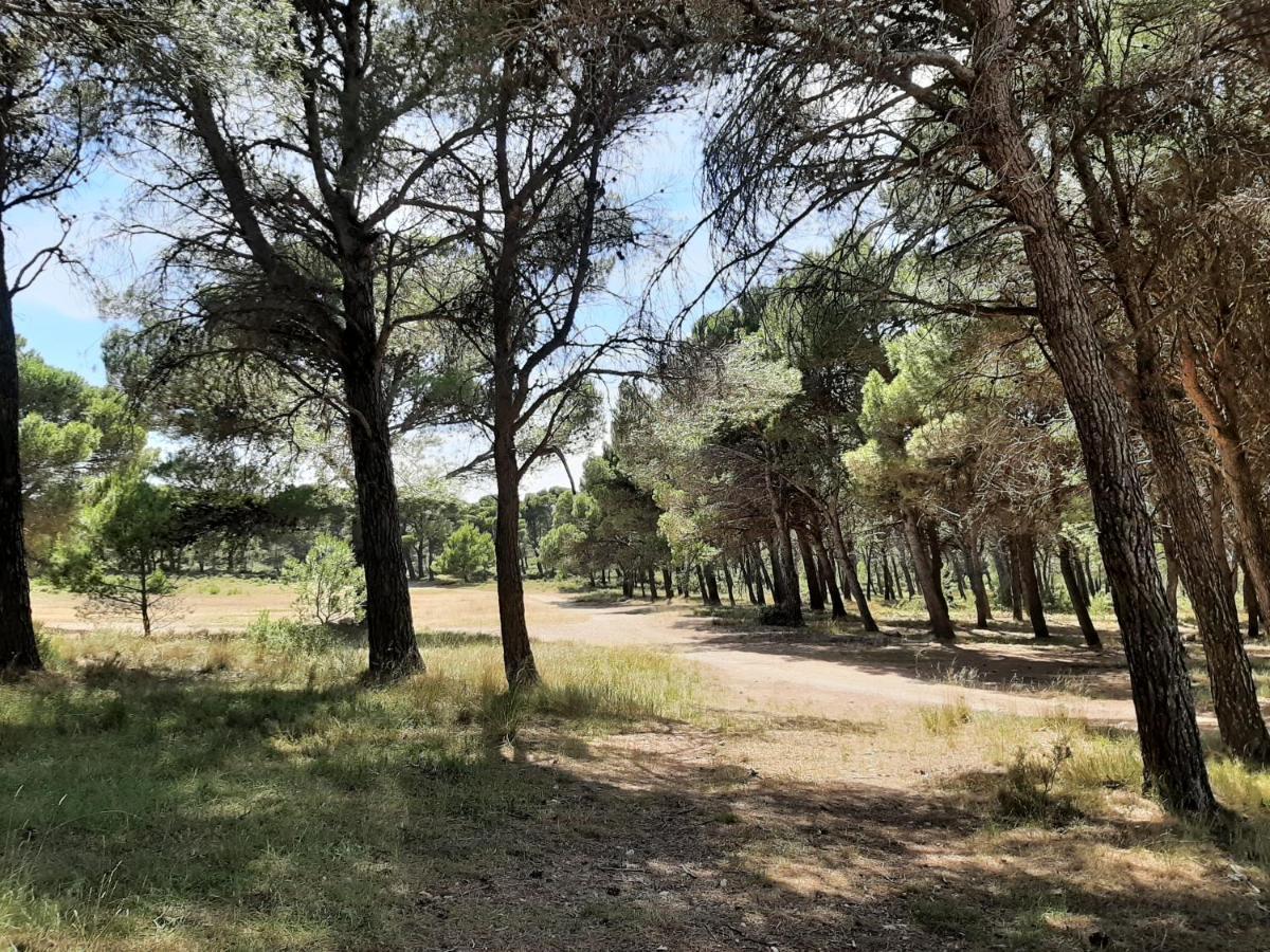 Penzion Casa Rural "Eccehomo De Borja" Exteriér fotografie